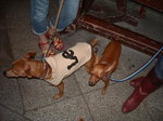 DSCN1754.JPG