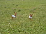 DSCN1801.JPG