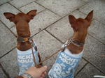 DSCN1820.JPG