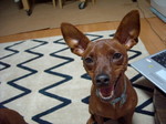 DSCN2033.JPG