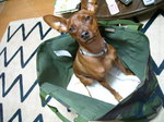 DSCN2046.JPG