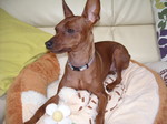 DSCN2272.JPG
