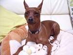DSCN2275.JPG