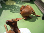 DSCN2276.JPG