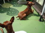 DSCN2277.JPG