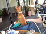 DSCN2390.JPG