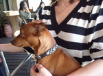 DSCN2391.JPG