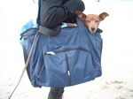 DSCN2405.JPG