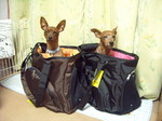 DSCN2447.JPG