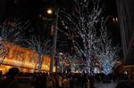 DSC_1492.jpg