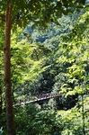 DSC_4543.jpg