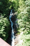 DSC_4550.jpg