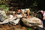 DSC_4587.jpg